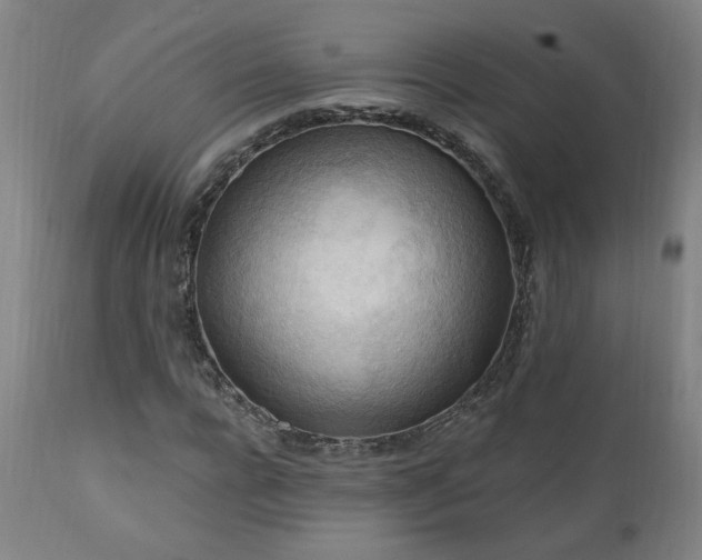 X0000111040920200906251358