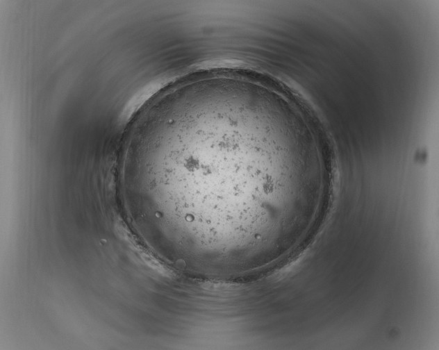 X0000111040921200906251358