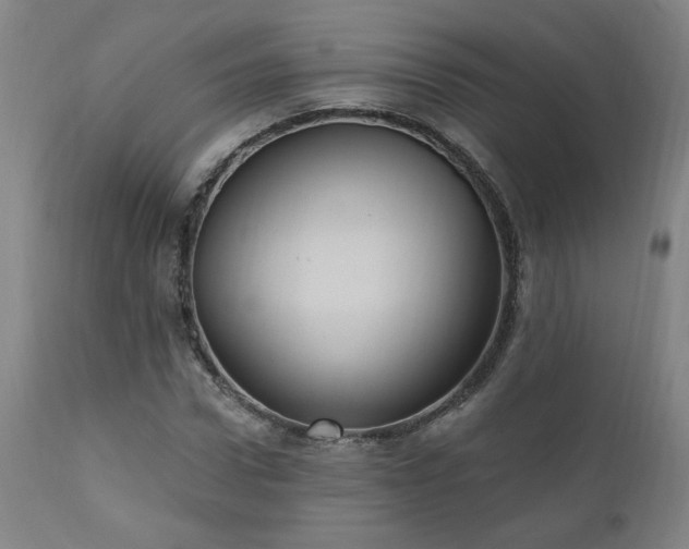 X0000111040922200906251358