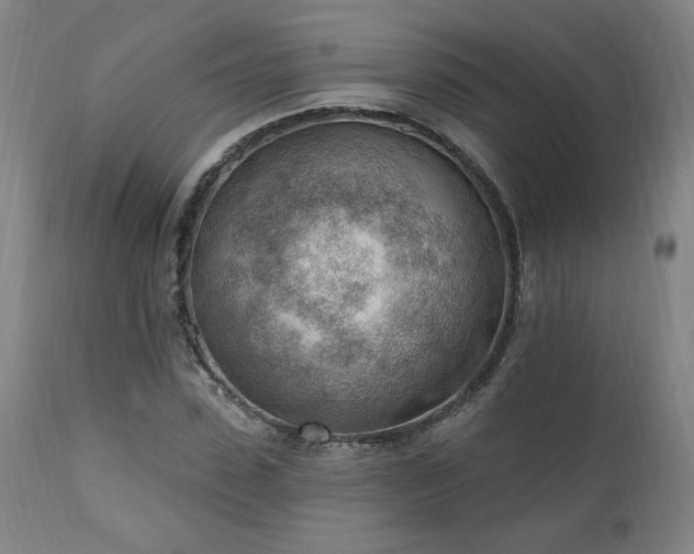 X0000111040923200906251358