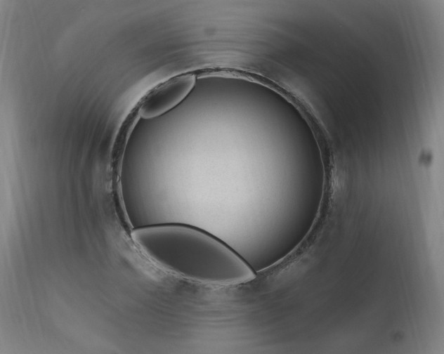 X0000111040924200906251358