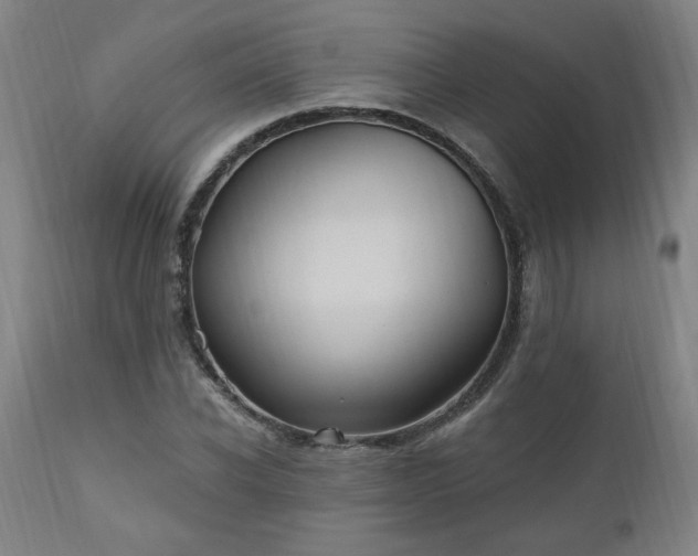 X0000111040926200906251358