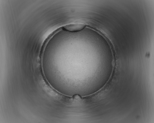 X0000111040928200906251358
