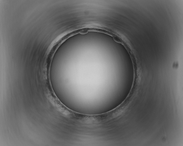 X0000111040931200906251358
