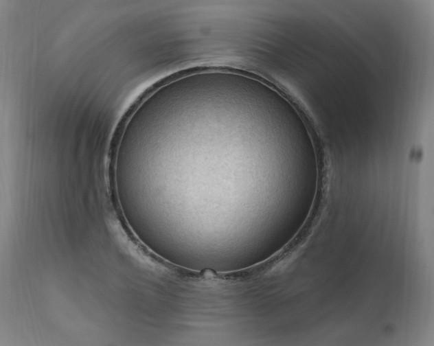 X0000111040932200906251358