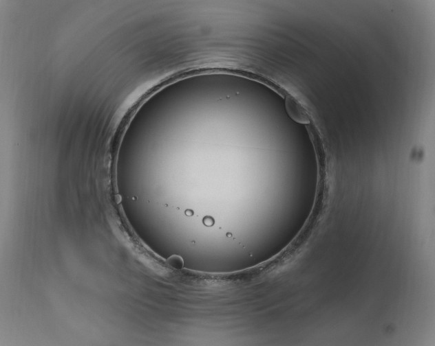 X0000111040933200906251358
