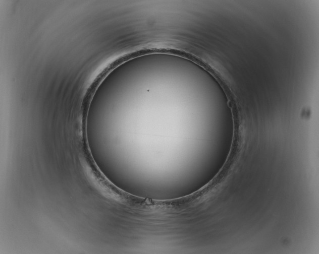 X0000111040934200906251358