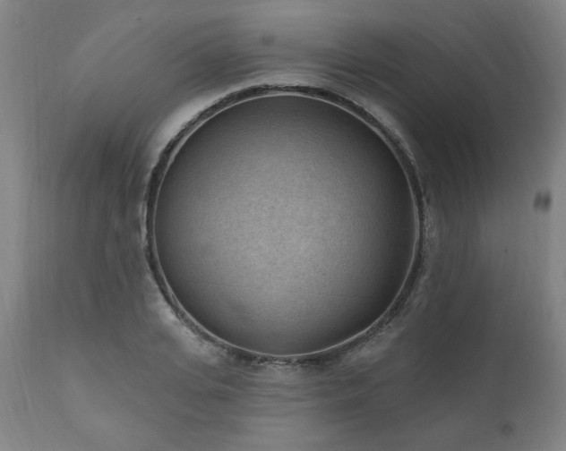 X0000111040935200906251358