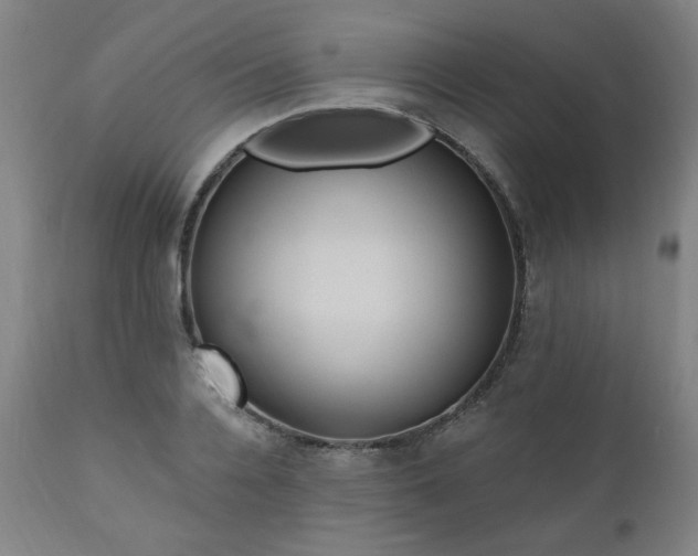 X0000111040936200906251358