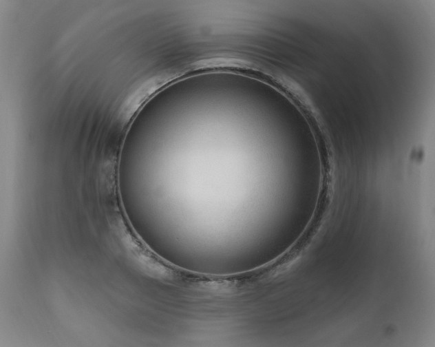 X0000111040937200906251358