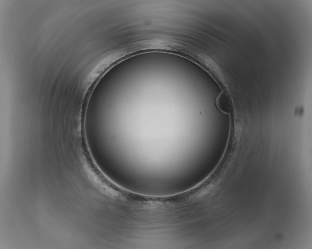 X0000111040938200906251358