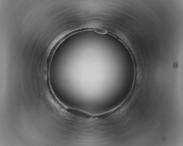 X0000111040939200906251358
