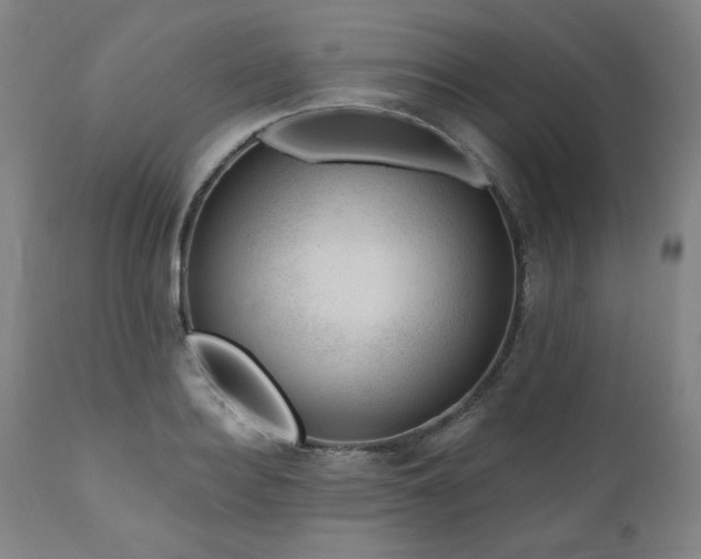 X0000111040940200906251358