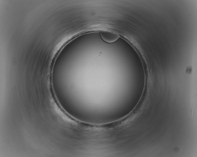 X0000111040941200906251358