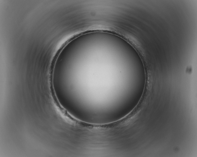 X0000111040942200906251358