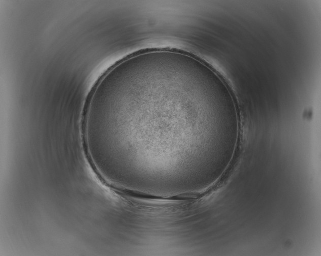 X0000111040943200906251358