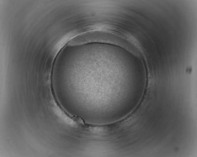 X0000111040946200906251358