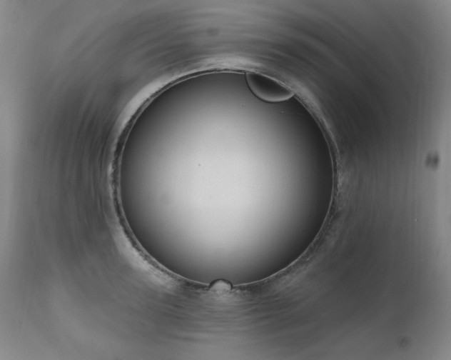 X0000111040947200906251358