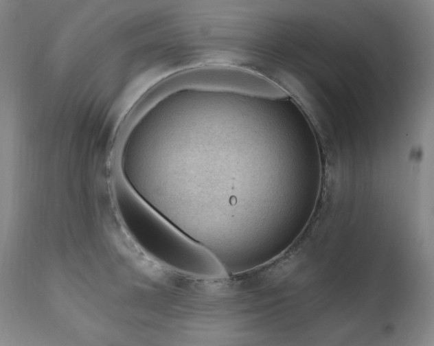 X0000111040948200906251358