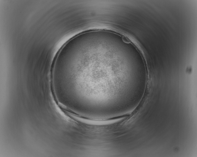 X0000111040951200906251358