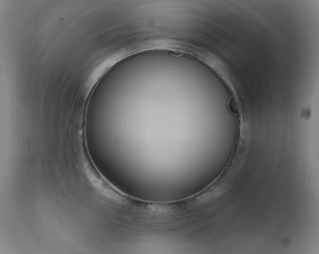 X0000111040954200906251359