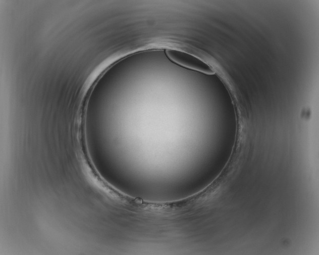 X0000111040955200906251359