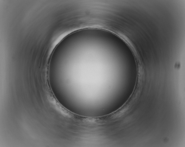 X0000111040956200906251359