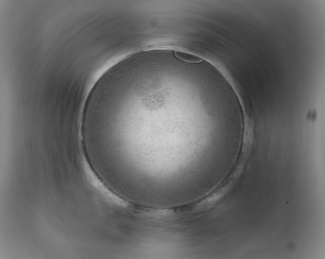 X0000111040957200906251359