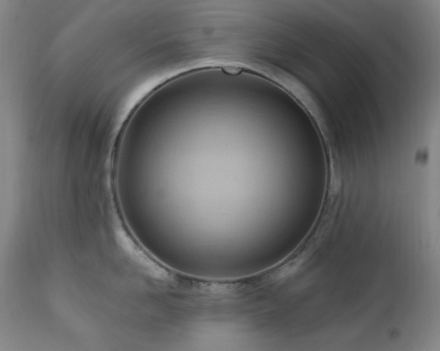 X0000111040958200906251359