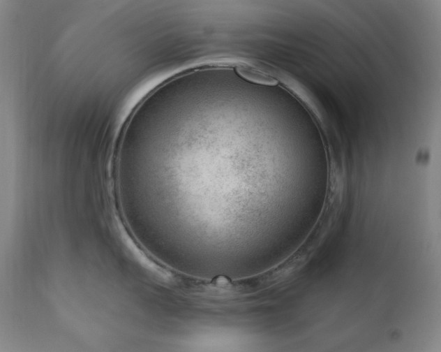 X0000111040959200906251359