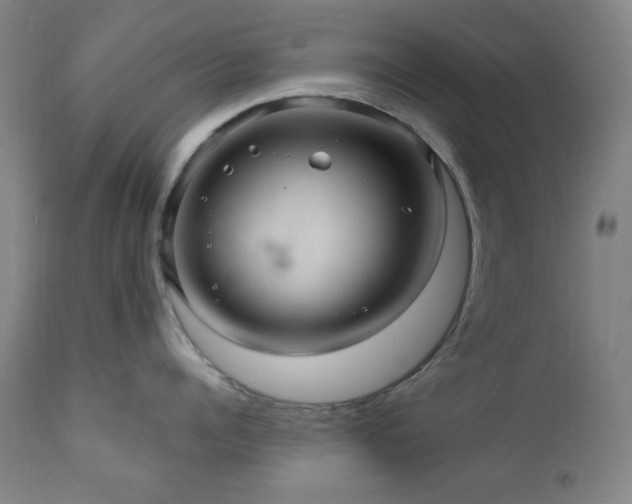X0000111040960200906251359