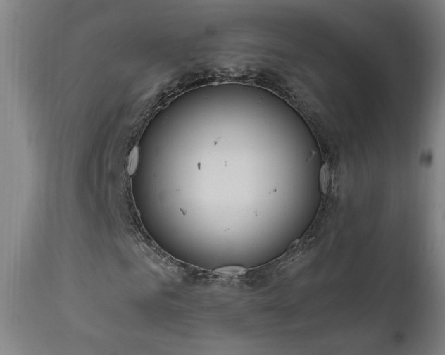 X0000111040961200906251358