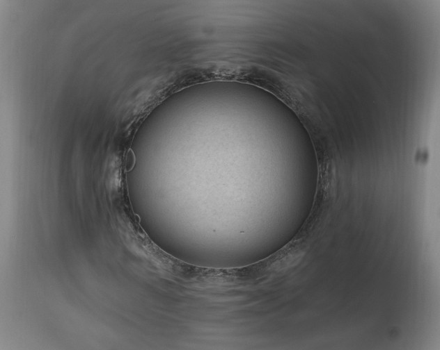 X0000111040962200906251358