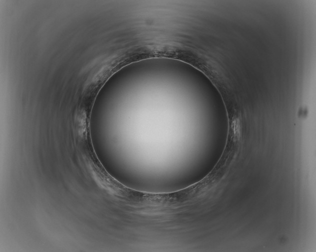X0000111040963200906251358