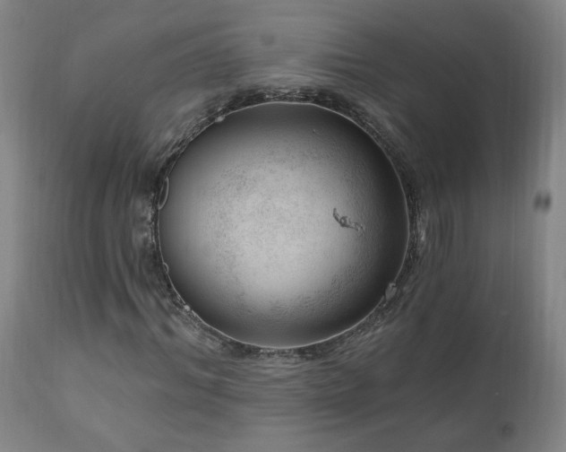 X0000111040964200906251358