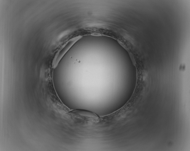 X0000111040965200906251358
