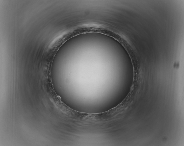 X0000111040967200906251358