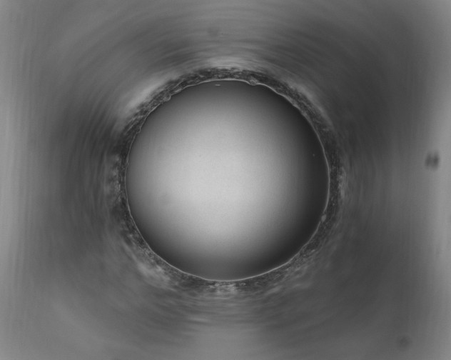 X0000111040968200906251358