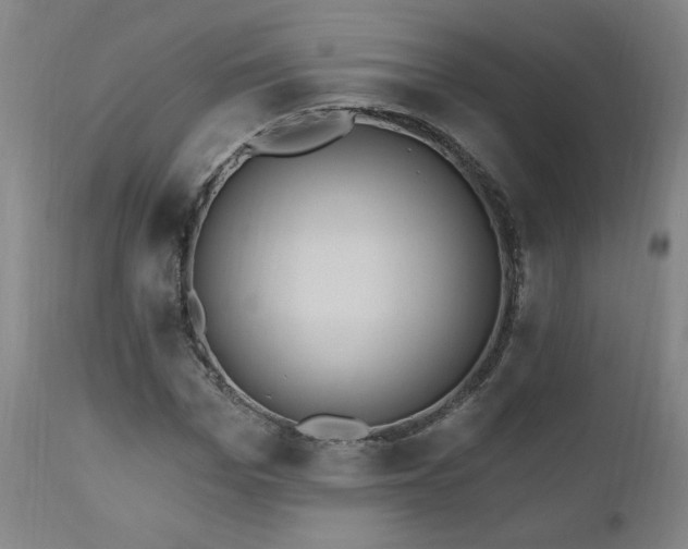 X0000111040969200906251358