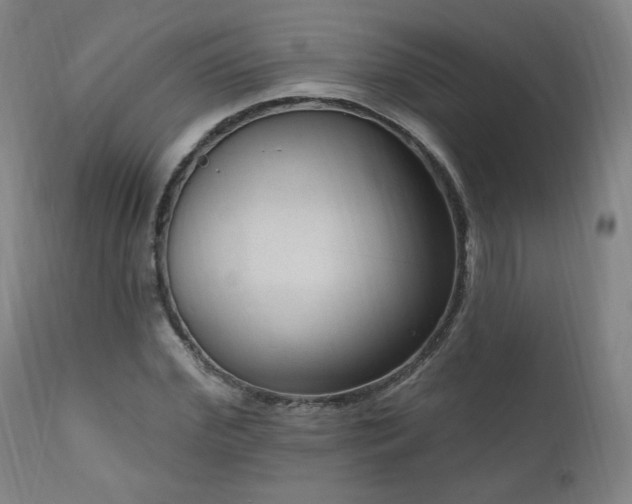 X0000111040972200906251358