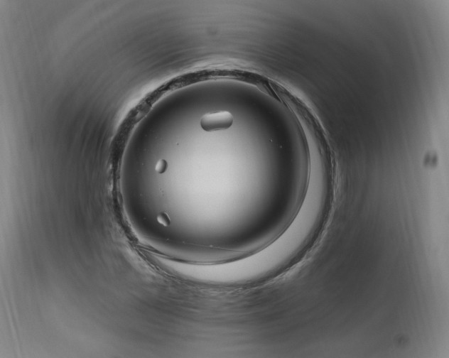 X0000111040973200906251358