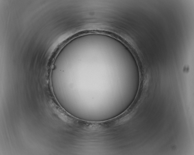 X0000111040974200906251358