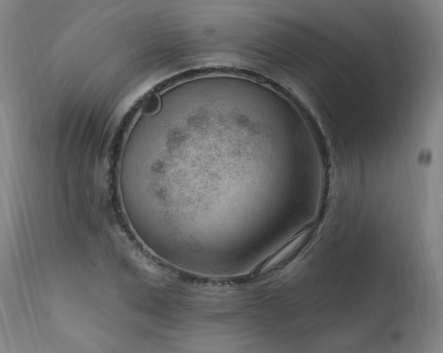 X0000111040975200906251358