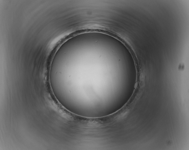 X0000111040979200906251358
