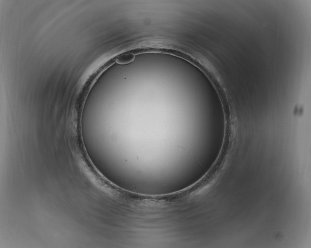 X0000111040981200906251357