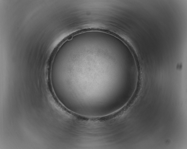 X0000111040983200906251357