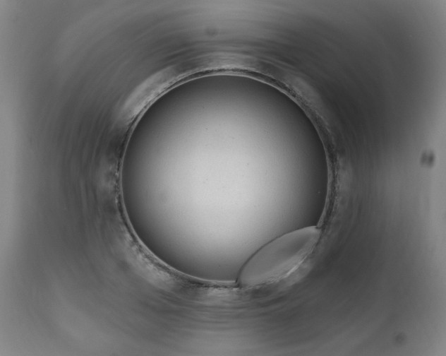 X0000111040985200906251357