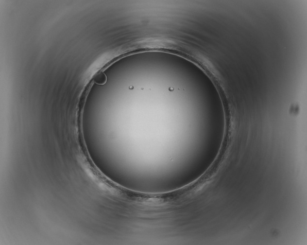 X0000111040986200906251357