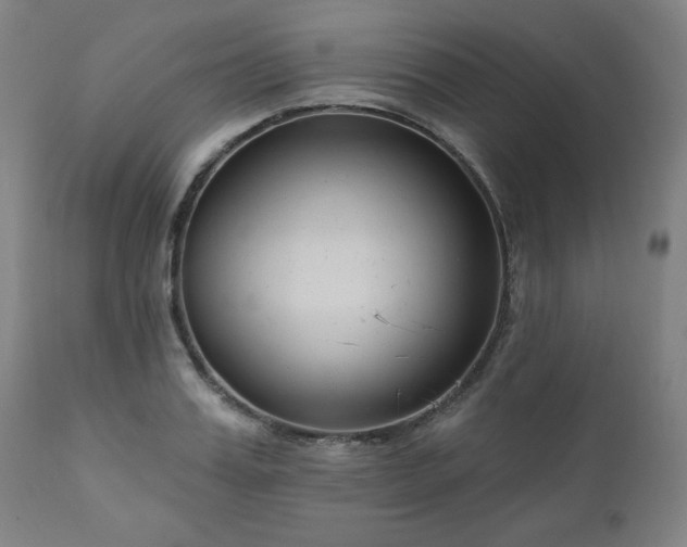 X0000111040987200906251357