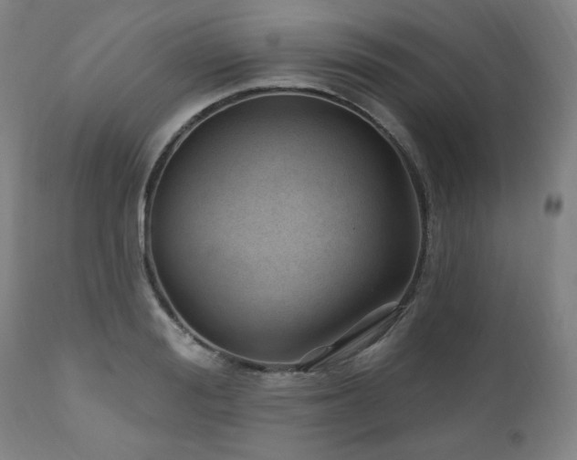 X0000111040988200906251357